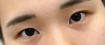 只推薦了必要的部分，完全沒有其他多餘的，這點很好。