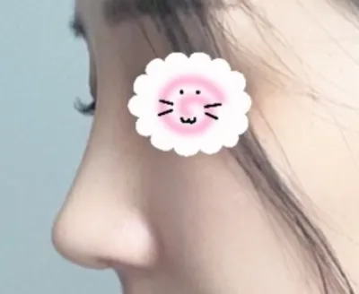 [鼻] 簡直是貓咪天堂 - 鼻