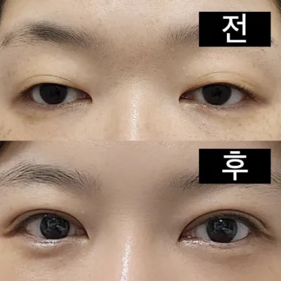 線條抓得太棒了。