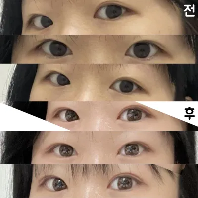 非常滿意，因為我想要的部分都填補了。